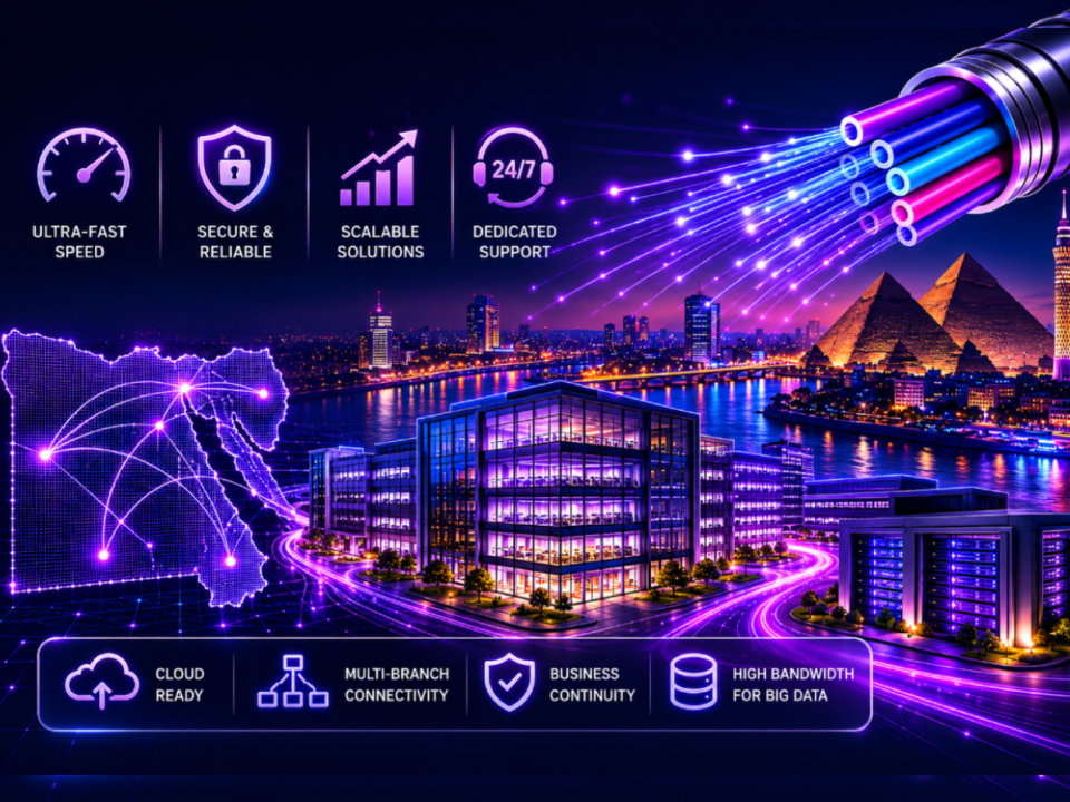 Best Fiber Internet Solutions for Enterprises in Egypt